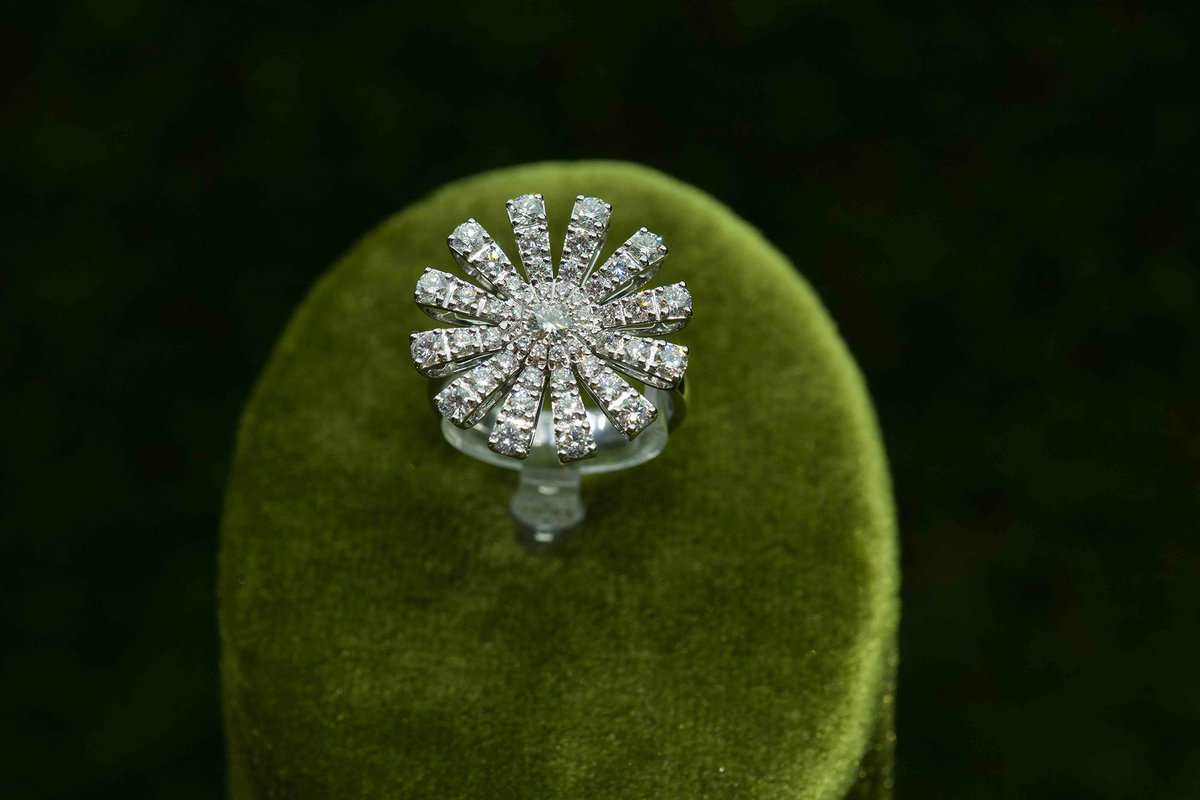 DamianiOfficial's tweet photo. Adorn your fingers with the sophisticated #DamianiMargherita ring in white gold and diamonds. #RoyalMargheritaBlooms https://t.co/tLVaZ3JV6j https://t.co/YTm8lv2OpD