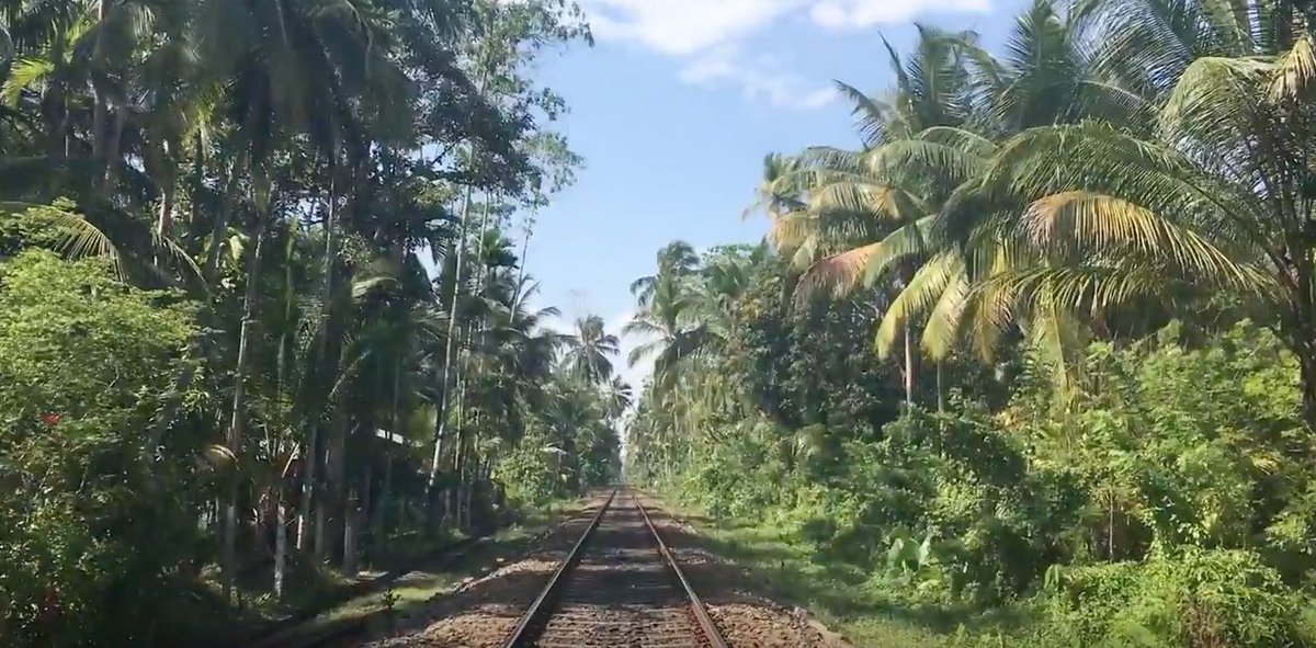 AurelieKrau's tweet photo. [#Bleisure] 🌴 Eager to discover #SriLanka? Only a few hours flight from major hubs! 1min to see all it has to offer! https://t.co/SRRmO6IMdC https://t.co/PsqlRuJkV2