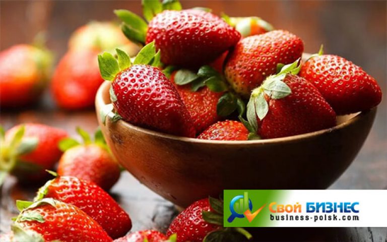 rtelFlin's tweet image. Выращивание клубники круглый год как бизнес business-poisk.com/biznes-plan-po…