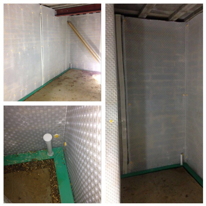 Kayleigh tweet media