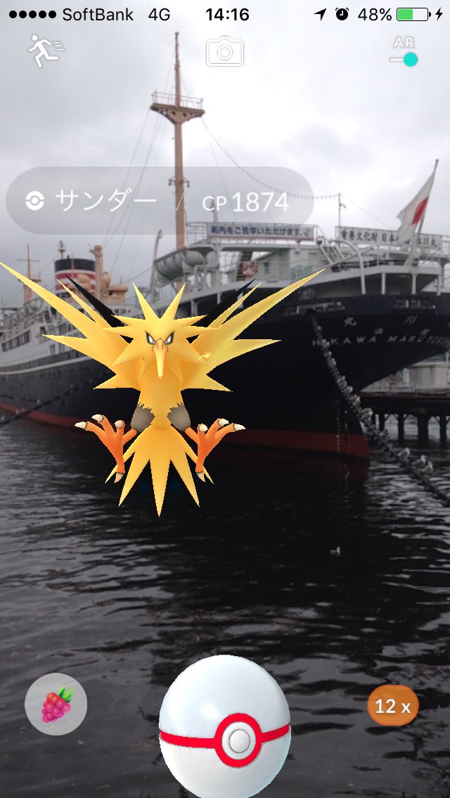 横浜、ほぼポケモンGOの人だよww
氷川丸にサンダー！