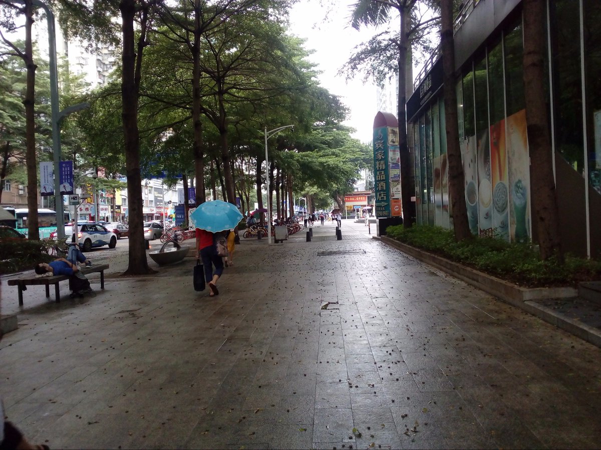 Meli_Floress's tweet photo. liam donde estas? #shenzhen https://t.co/L2fa0tKEoM