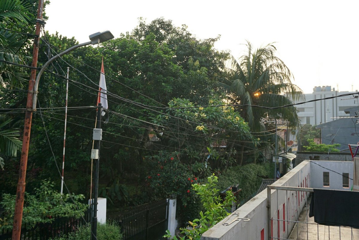 xzykxzyk's tweet image. Pagi hari tadi di depan kost..