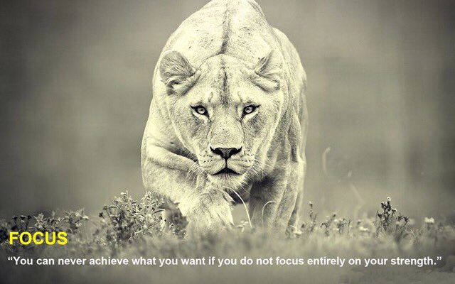 PowerWomanInt's tweet photo. "Starve your distractions, feed your focus." #dailyquotes #quotes #quoteoftheday #dailyreflections #reflectivethoughts #positivethinking https://t.co/hXYkOQ6JdS