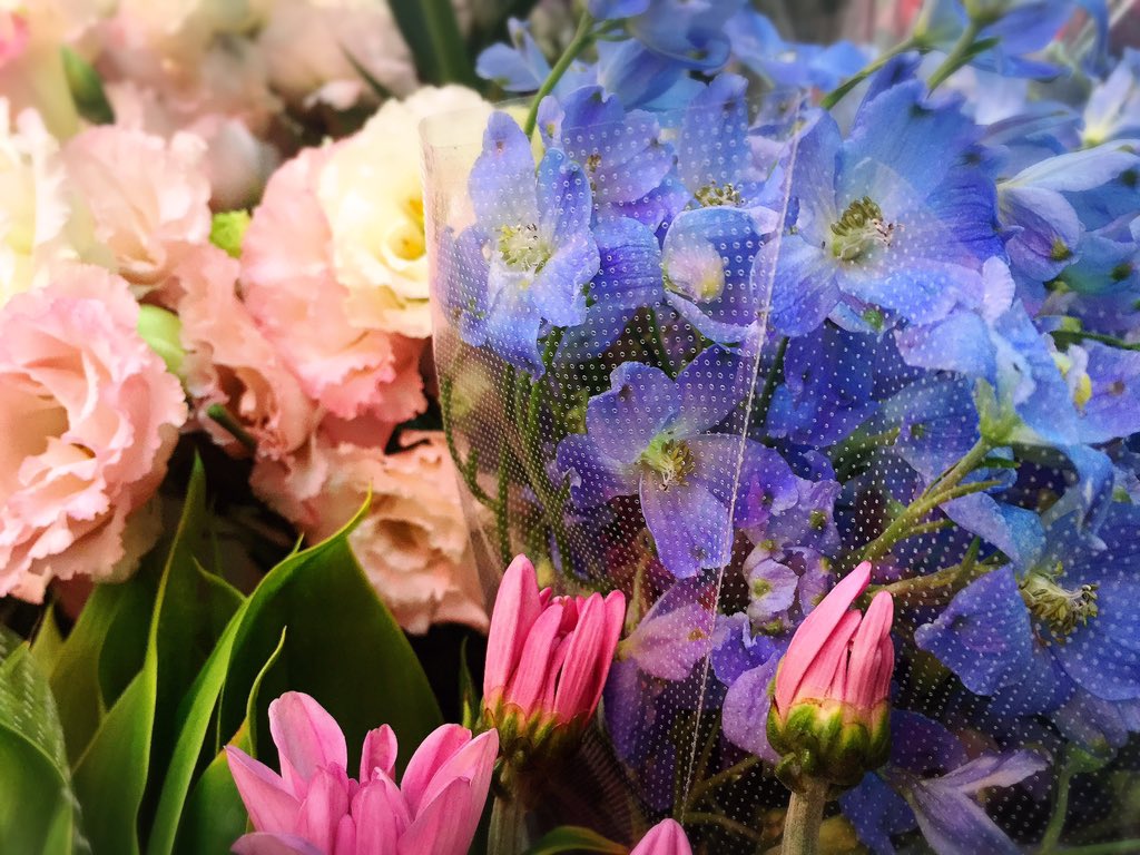 白山生花店 4187shop Twitter