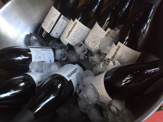 Primera anyada dins la <a href="/dopladebages/">DO Pla de Bages</a> de <a href="/ladiferenta/">Ladiferenta</a>, projecte de vinya totalment ecològica. #vinsBages elpou.cat/noticia/2864/d…