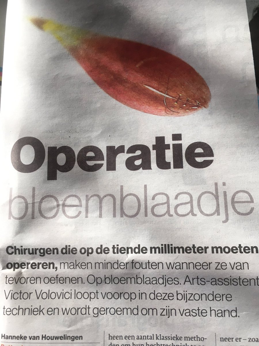 Gerbera en chrysant maken microchirurgen beter. #AD