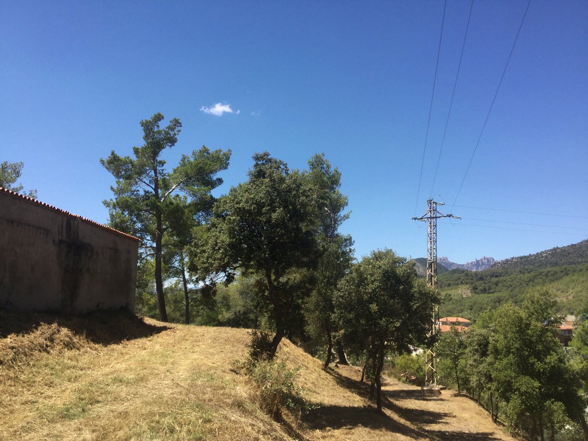 entrearbres's tweet photo. 1a Part #Certificaciofinalobra tr #forestals #frangesperimetrals #zonesverdes #prevencioIF q executa @Fores_Cat promou @ajviladecavalls 💪🏻🌲 https://t.co/wENHMbk1rQ