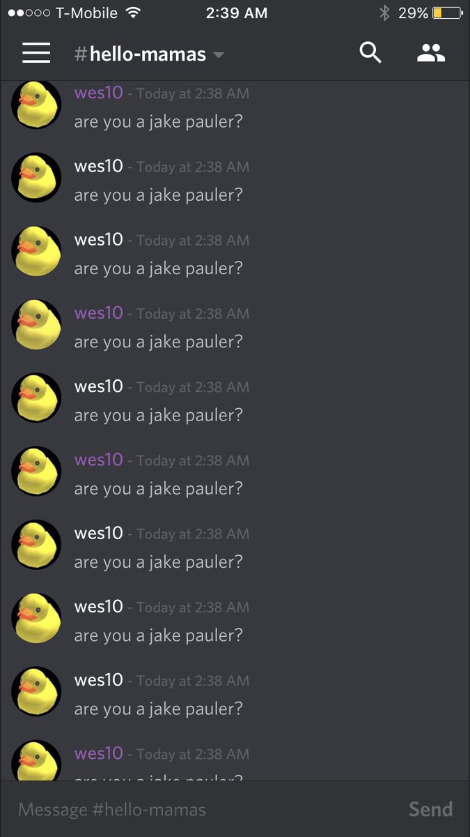 maritzamachucaa's tweet photo. @Wes10 are you a jake pauler? #private2 #westonisoverparty https://t.co/5wmpFytUmo