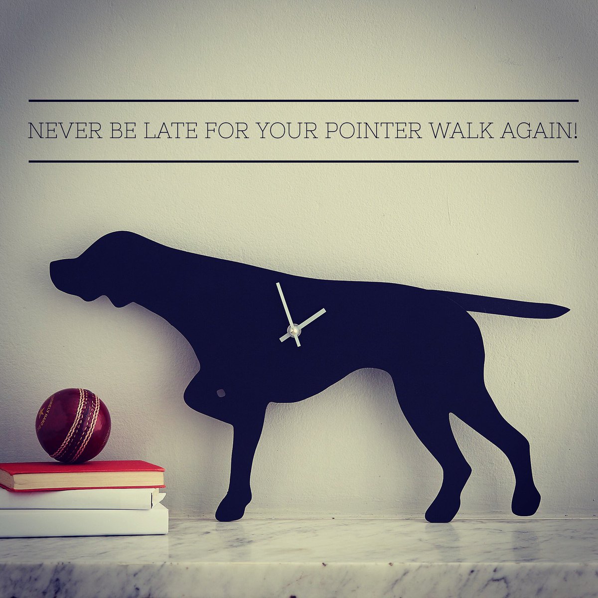 Don't be late! #pointers #gsp #gundogs #ontime