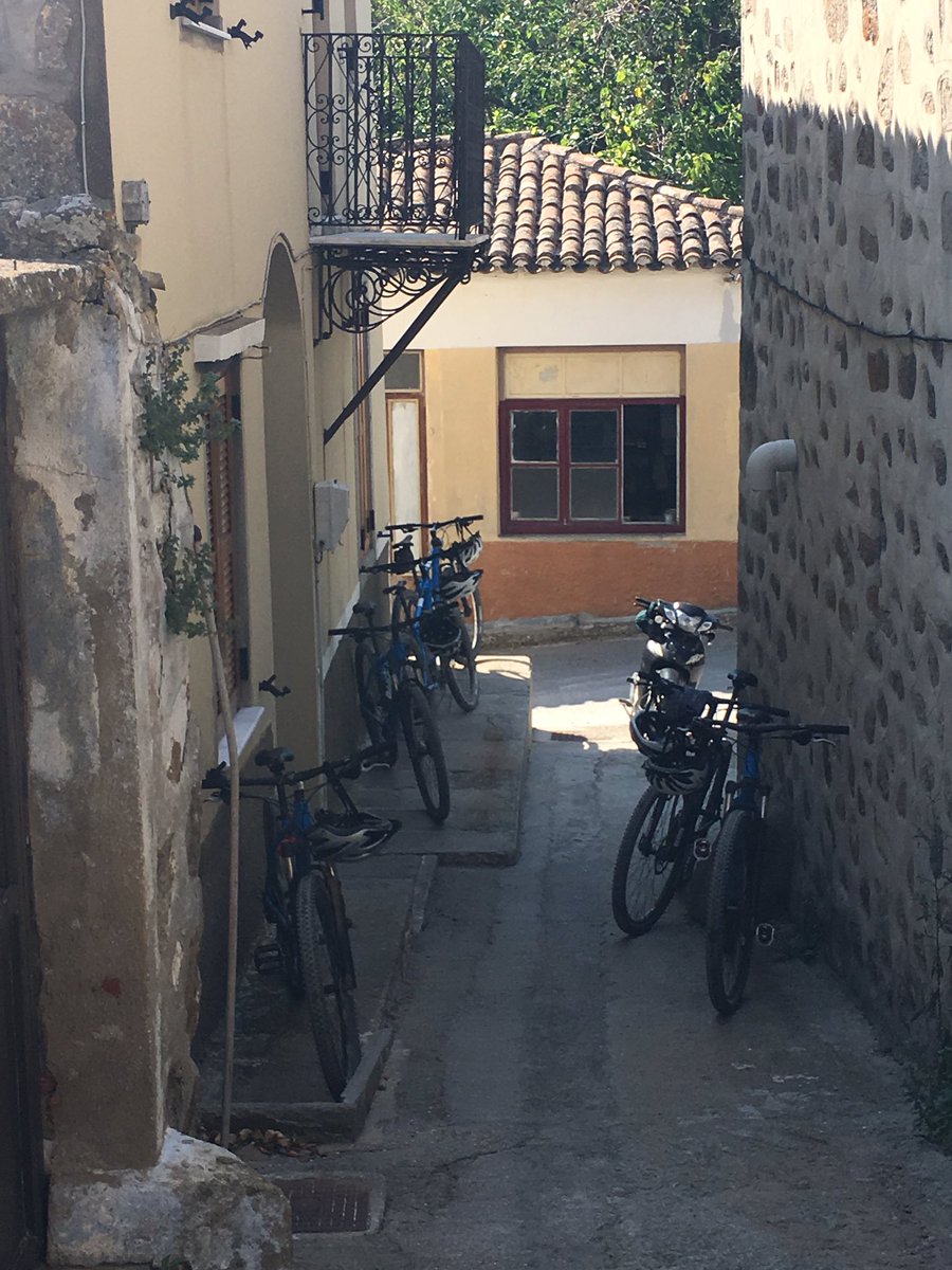 Trustee steeds parked up after the morning ride.
