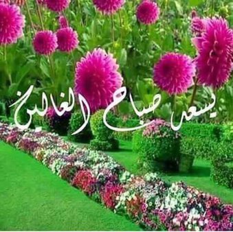 <a href="/AhmedZubaidy/">Ahmed Zubaidy</a> @assynet_yasmine <a href="/samershap/">Sameershap</a> @CtgJPsoa6NPGJWW <a href="/k_alsalme/">KSA</a> <a href="/Hsnklil/">H. Hassan Khalil</a> @ammarhussien411 <a href="/setifis620/">1,2,3 VIVA l’Algerie,سطيف العالي 芥末</a> @100002139952928 <a href="/hammady2000/">Ahmeeeeeeeed</a> <a href="/mostafa7858/">Mostaf</a> <a href="/SheakhAli/">sayed ali el sheakh</a> <a href="/RashadBoundaqji/">رشاد بندقجي</a> <a href="/ahmadchahbon/">احمد شهبون</a> <a href="/LouLou29570/">Lou Lou</a> <a href="/s_el_ysf/">Soufiane E.</a> <a href="/M6K9RLtxtSvKTO5/">ضيف تويتر</a> <a href="/oJEebzpEVwHCnv3/">(💝 ولاء💝 )</a> <a href="/rasheedaldulimi/">العراقي............</a> @aaaaaaa313sssss <a href="/RHklaM81ugg8neQ/">👑أميرة الصمت👑</a> <a href="/SkyThunderTop/">بنت الشمال ( ميعاد )</a> <a href="/afafrihawi001/">afafrihawi</a> <a href="/mmmmo92767119/">🌷وردة تويتر🌷</a> <a href="/rFlnqYaHwxaHYk3/">بنت.  الغالي</a> <a href="/AbouSawsan/">Sawsan Abou Alhija</a> <a href="/koko01210207023/">داوود لاشين</a> <a href="/wehbimoha/">Mohammed Wehbi</a> <a href="/gs4jpP89XwYjfGc/">حسن سليم</a> @Mustafa11939609 <a href="/BoshtTarek/">bosht tarek</a> <a href="/ED8XpEgJqyUwqnT/">زهر الجوري</a> <a href="/4CXEgAk8BXLjYkb/">شمري وفتخر</a> <a href="/5d95ffeea9394f7/">lahzy77@gmail.com</a> <a href="/saadshammary1/">سعد الشمري</a> <a href="/kk296344/">ٶ١ڼ٩٩ع٦ kamalٶ1ڼ99ع6</a> <a href="/Alboh29Mona/">Mona ❤kamal❤</a> <a href="/GHadaNew88/">。* ★ ـ❥ ـ❥。• ❥ ‏غـۦٰؖ͜ــہاادة ˚ ‏</a> <a href="/JaNNaT246/">Jannat🇮🇶العراق🇮🇶</a> <a href="/ALbadiFawoz/">ابو فوزي</a> <a href="/aboshab_samir/">Samir Aboshab</a> <a href="/jannAt218/">JaNNaT218دخوول متقطع</a> <a href="/DreemEnti/">الخنساء</a> <a href="/hanan3073/">نجديه بنت شيو خ</a> <a href="/MonaKh44/">‏Sendrilla</a> <a href="/mfared325/">نورجان</a> <a href="/omarmohamd77/">عمر محمد الجبوري</a> <a href="/majdamajdati/">ماجدة</a> <a href="/iraqya99/">عراقيه</a>