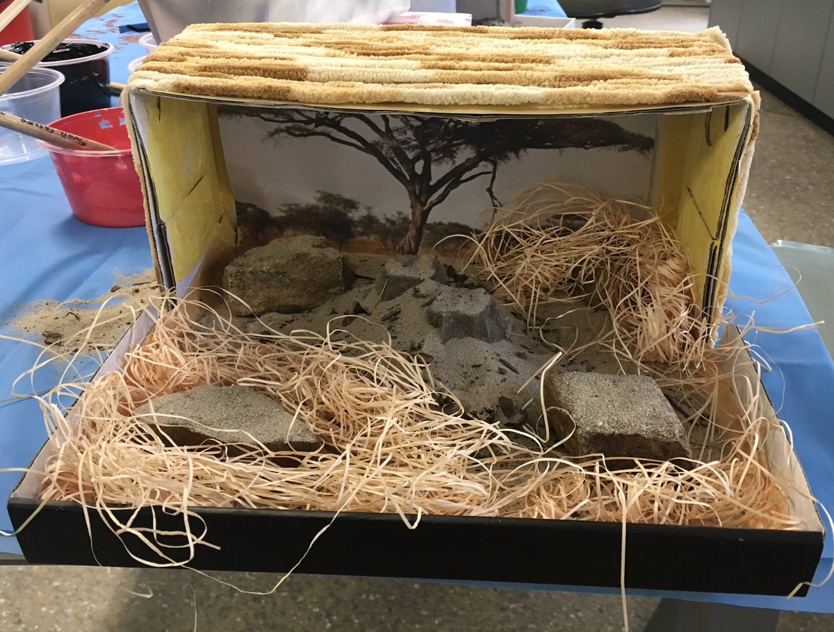 year 2f on twitter a meerkat and black mamba snake habitat diorama