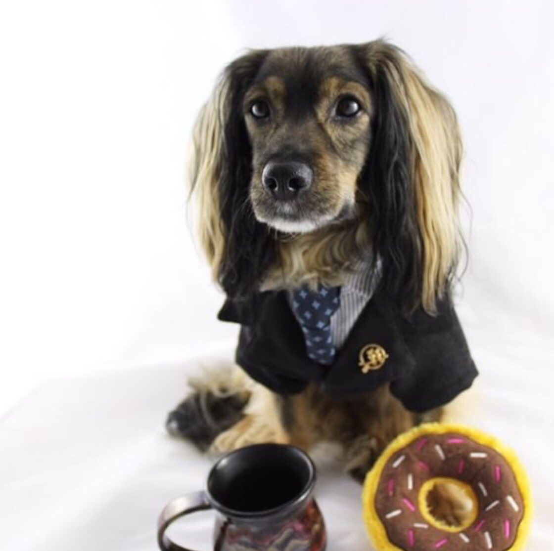 SHO_TwinPeaks's tweet photo. Our favorite four-legged #TwinPeaks  superfan @FreddyPickles here to kick off #FanArtFriday! #dog #AgentCooper  #DrAmp #cosplay 👍🏼🐶 https://t.co/OSw1klMDFg