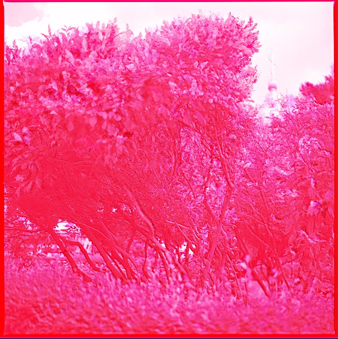 an_artblogs's tweet photo. New blog from Caroline Douglas @caddydouglas—#travelbursary #colourresearch #Russia #photography https://t.co/3B1bt86MEX https://t.co/BtCxfGfOhB