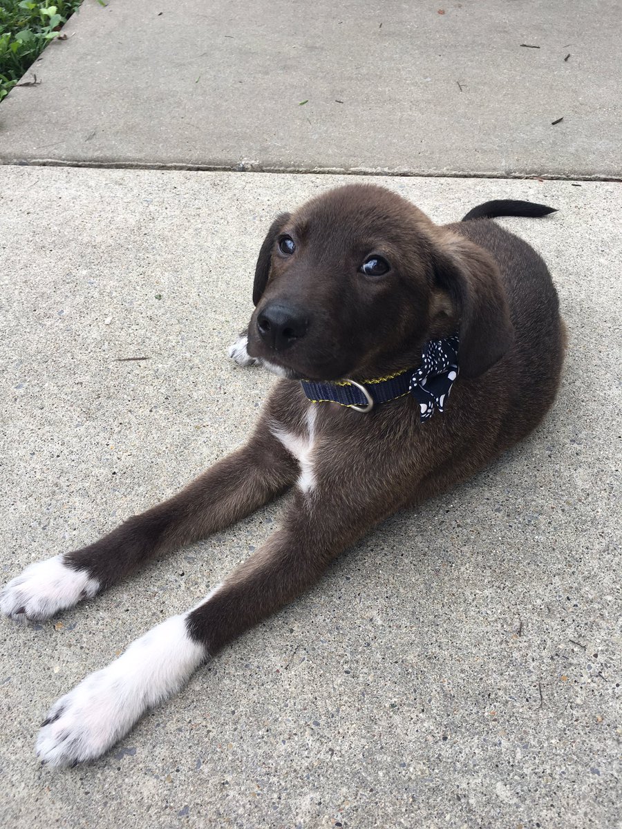 Happy Move-In Day Honors students!