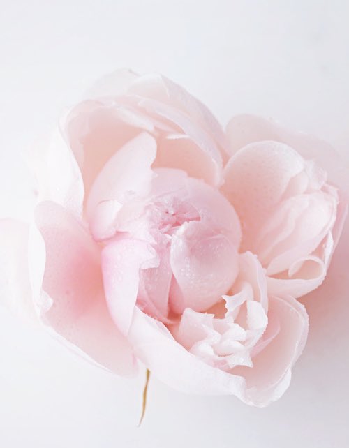 Have a great Friday ! #FridayFeeling