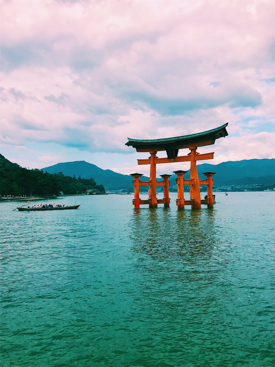 doabunk's tweet photo. A little treat for the eyes from Japan! https://t.co/OzXi3tSa0t