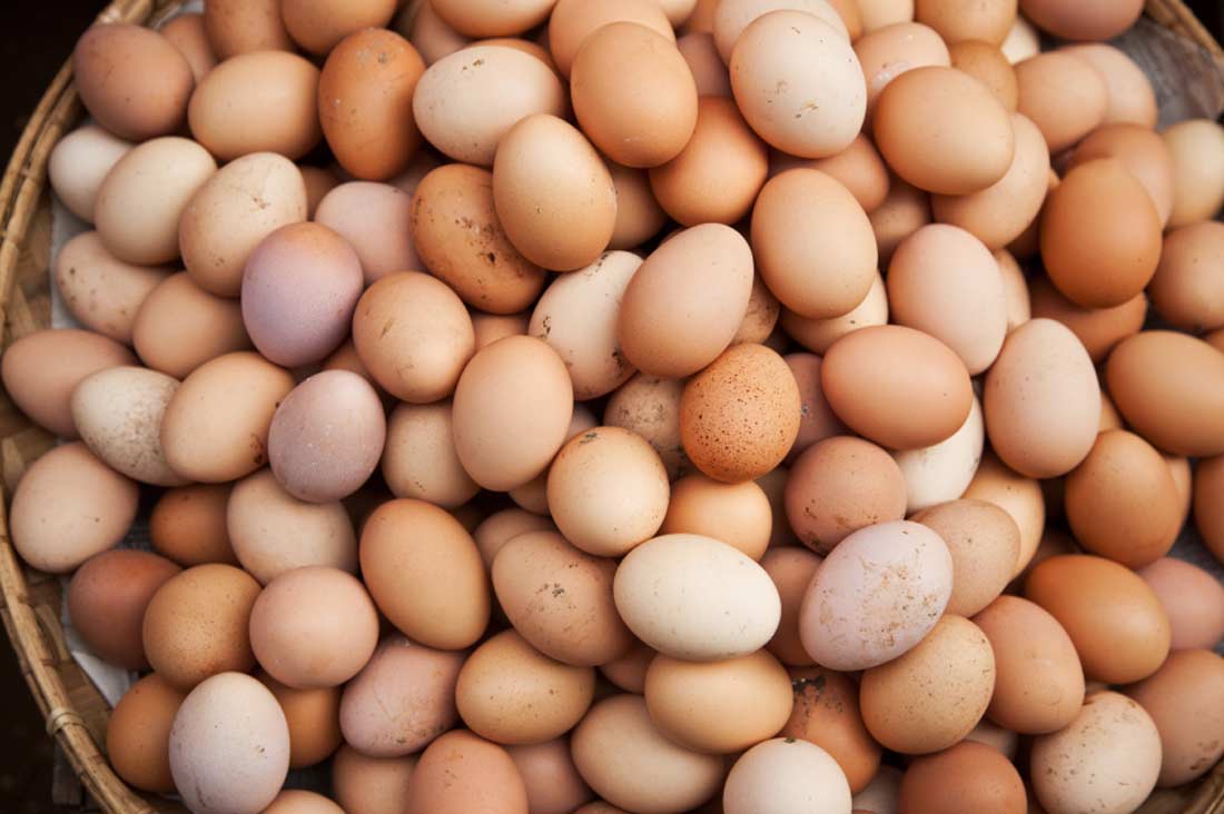 CTSAlimentaria's tweet photo. https://t.co/LkyVx2zZpK
¡Manda Huevos! (contaminados con fipronil) https://t.co/ai3wjHHhT3