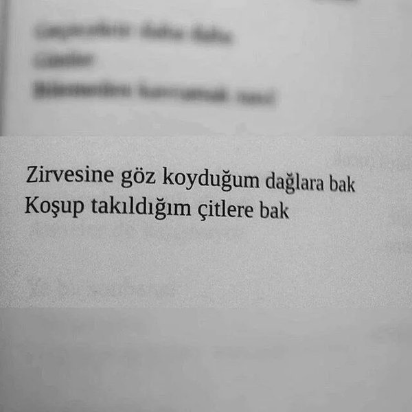 Zirvesine göz koyduğum dağlara bak.
Koşup takıldığım çitlere bak.
