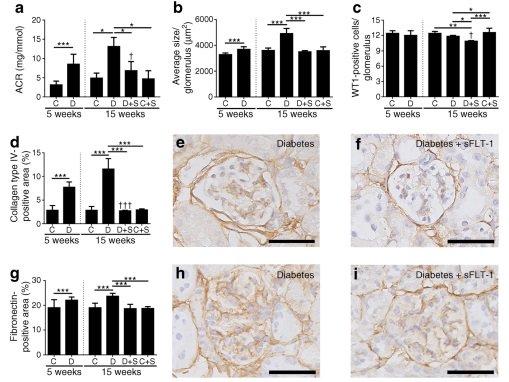 Diabetologia tweet media