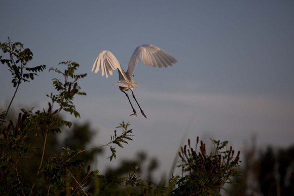 GoroVeneto's tweet photo. Tenuta Goro Veneto è la #location ideale per fare #birdwatching nel #DeltadelPo tra #animali e #natura.
LEGGI QUI ⬇️
https://t.co/HQTK5d3Ngv https://t.co/VMJ05GGoki