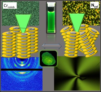 ChemEurJ's tweet photo. #Mesomorphic properties perylene derivatives as columnar #liquidcrystals at room temperature @IiserMohali https://t.co/60LMyCqAi9 https://t.co/XZvoIfm2gt