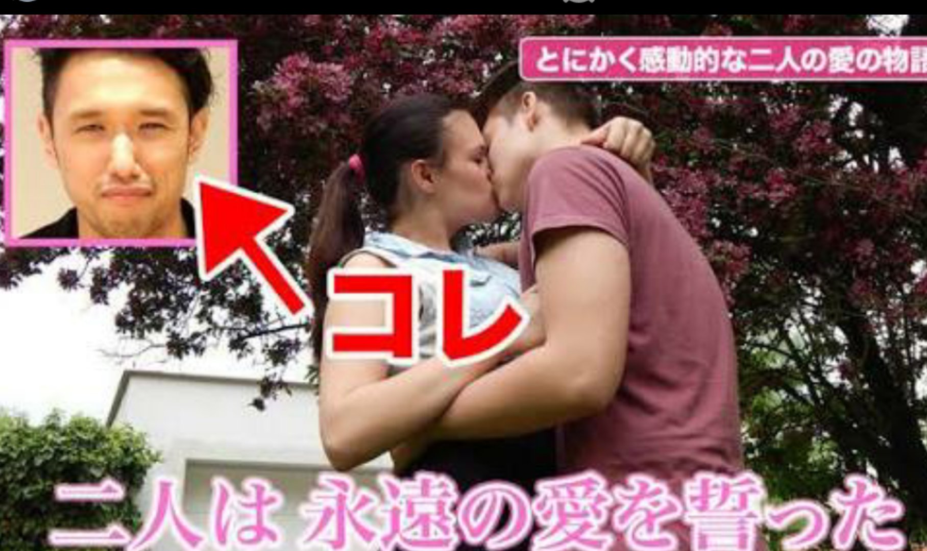 トト 社民 立憲チーム 共闘フォロワー募集中 ワイプ テレビのバラエティ番組でロケ等のvtrを流す際にスタジオゲストを映す手法 ウザい 邪魔 あざとい 要らないという声が多い中 ワイプタレント 女王 という言葉もある 一方 ゲストがvtr中の