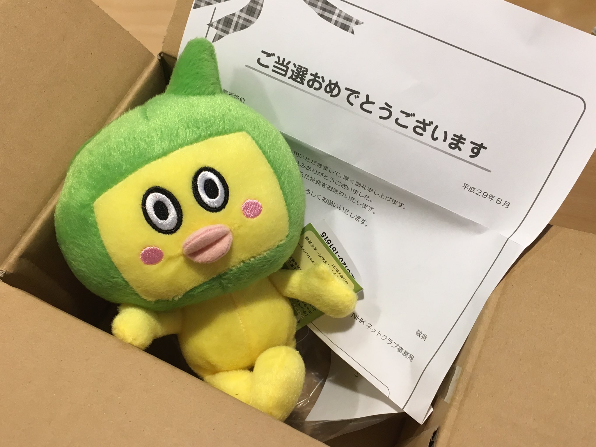 クマっち モケダイ Nhk Tohoku News Caesartadashi Nhkネットクラブで応募して やっぺぇ のぬいぐるみが当たりました いらっしゃい やっぺぇ Nhk やっぺぇ てれまさむね T Co Yobllrx5kb Twitter