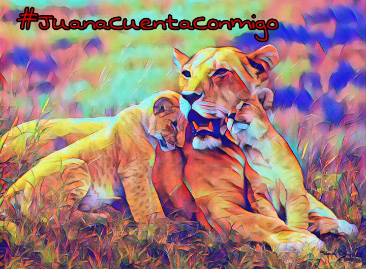 vanessaralgaba's tweet photo. Juana es esa leona que protege a sus cachorros de una ley injusta. 
La única opción es la desobediencia. 
#JuanaCuentaConmigo https://t.co/H9W8KpPiiF