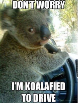 Wie is de beste autorijder die je kent?