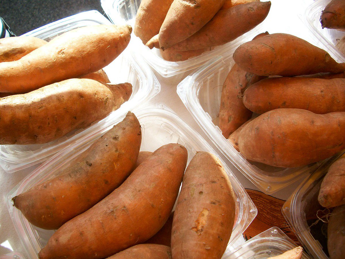 chefmargotcom's tweet photo. Brown sugar roasted sweet potatoes #recipes #cooking

https://t.co/SqiLAVzTqa https://t.co/wP48EYc7pX