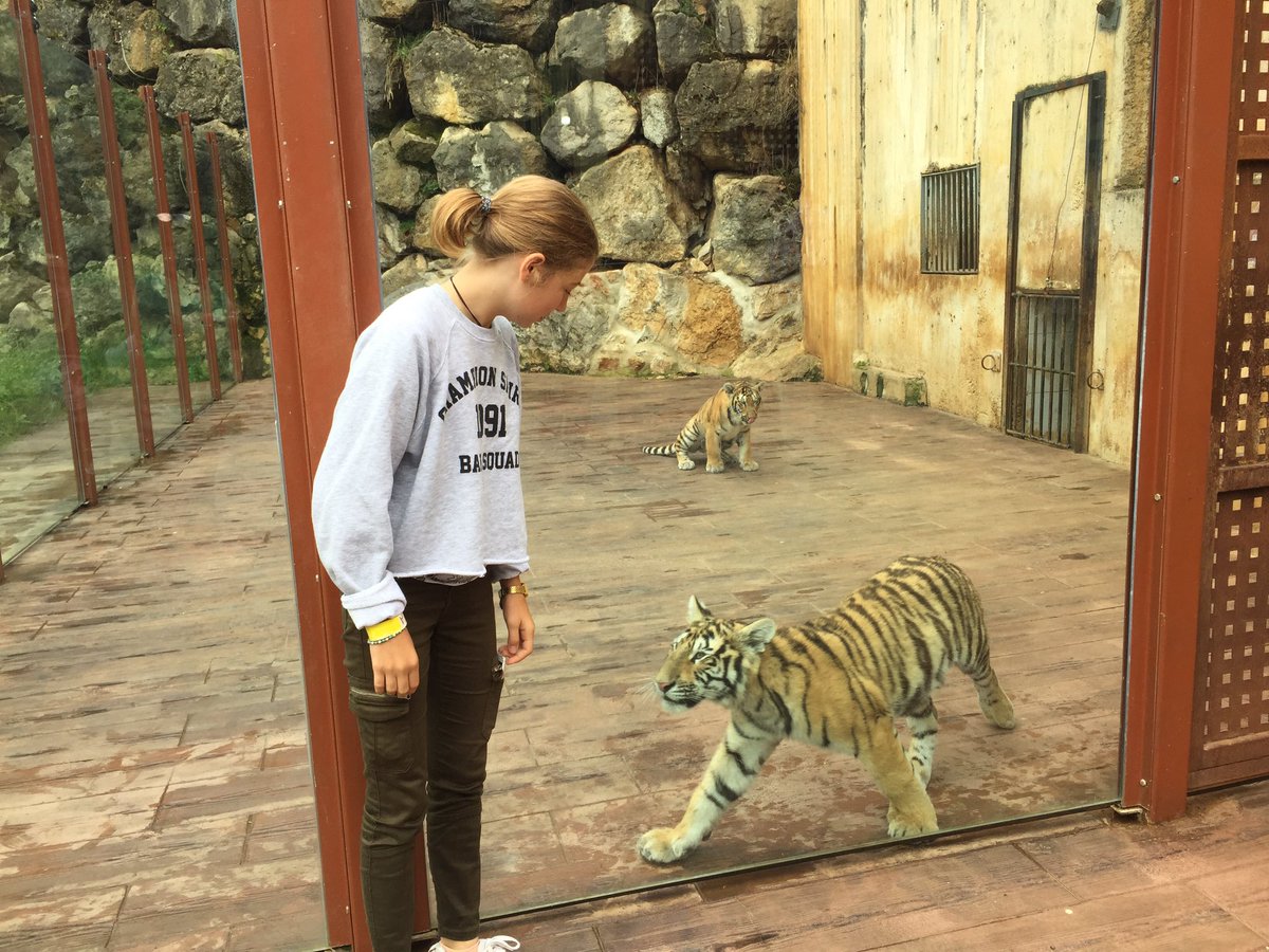 PCabarceno's tweet photo. ¡Qué contentas Pluja y Neu con la visita de su madrina @MartaMCJ2 ! Y eso que no se veían desde @TerraNaturaZoo pero el cariño... https://t.co/N3yBzFxLT3