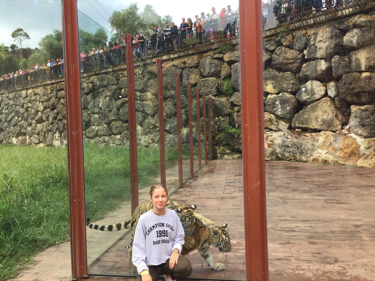 PCabarceno's tweet photo. ¡Qué contentas Pluja y Neu con la visita de su madrina @MartaMCJ2 ! Y eso que no se veían desde @TerraNaturaZoo pero el cariño... https://t.co/N3yBzFxLT3