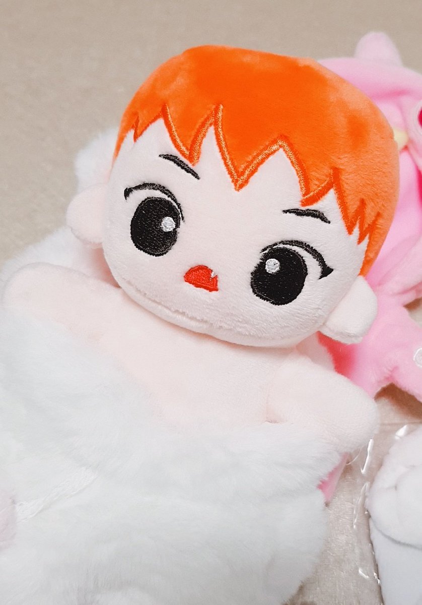 🎗고양😽만두🎗 tweet media