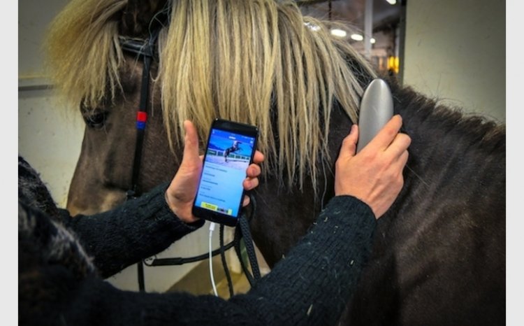 'Crowdfunding For Horse Tech: Anitar Revolutionizes The RFID Tag Readers' bit.ly/2vt0Zy8