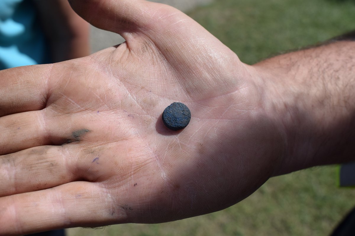 TintagelDig's tweet photo. It’s the final day of the #tintageldig so here's one of our star finds. This blue bead, which might be Egyptian, was found in the last week. https://t.co/NLZufDv6tm