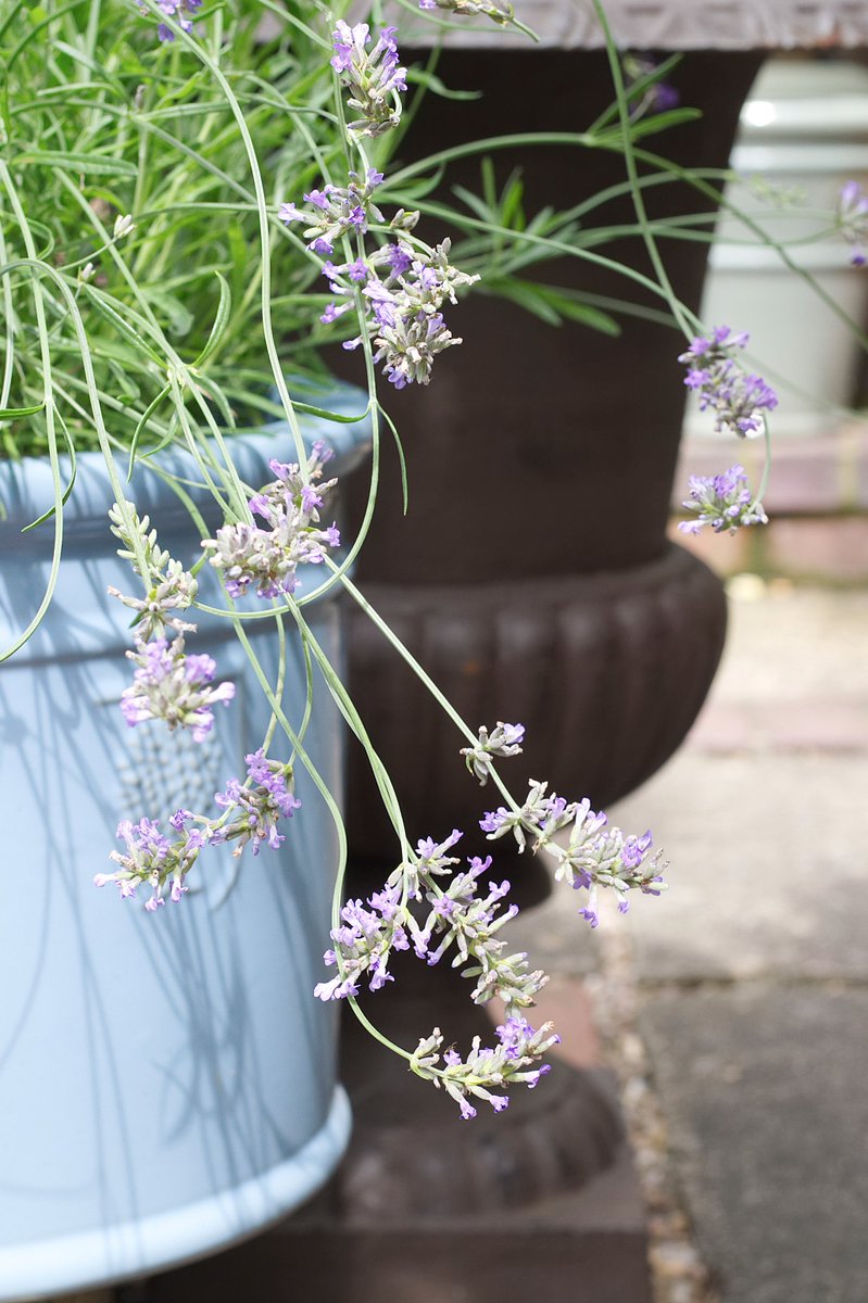 The Bottle Kiln (thebottlekiln) Twitter