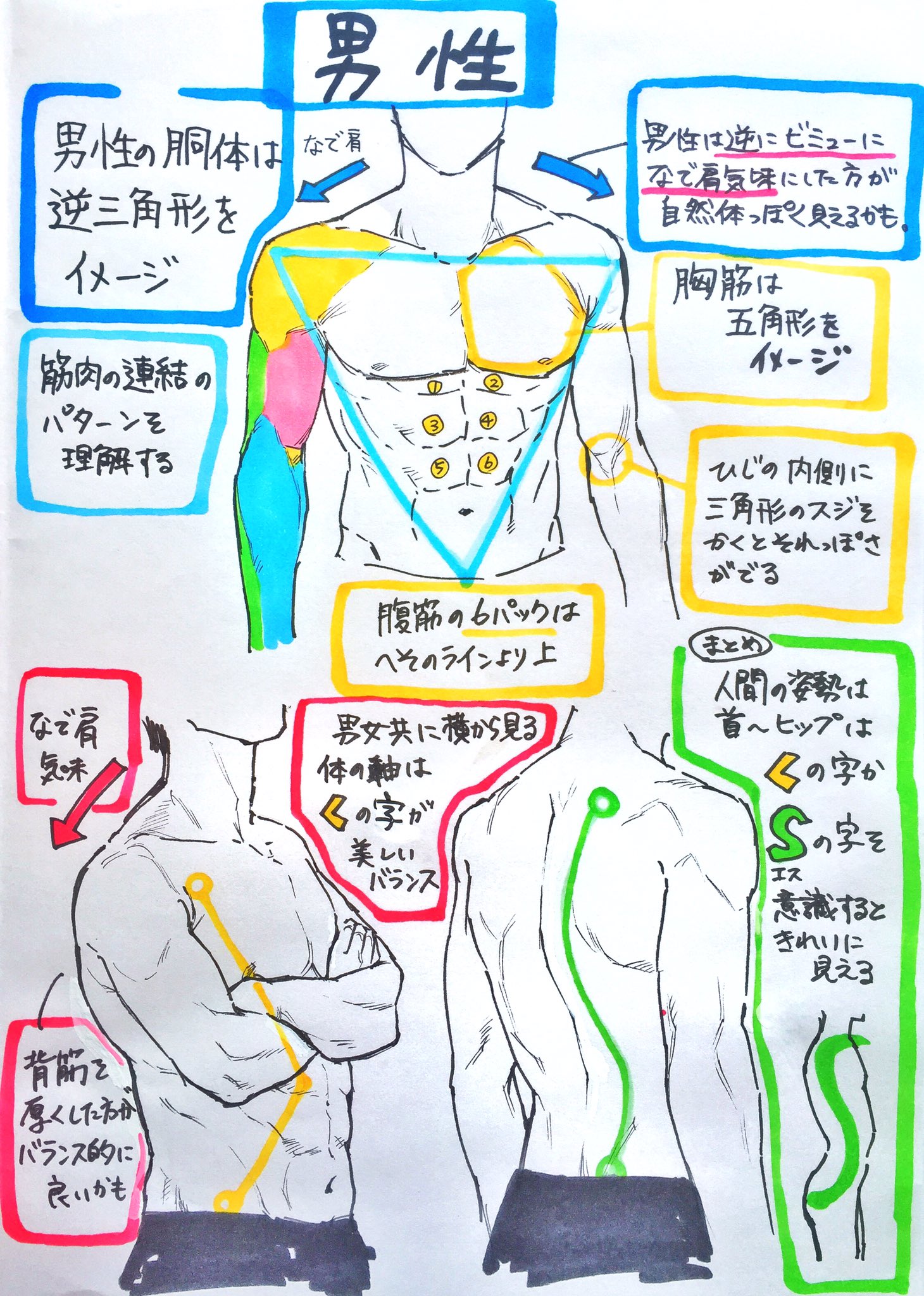 吉村拓也 イラスト講座 男性の体の描き方 筋肉をブロックごとに考える 身体本体より まず 骨 を最初にイメージする 男性は逆三角形シルエット 女性の体の描き方 女性の体に 直線 は使わず 常にカーブを意識 体の軸を S字