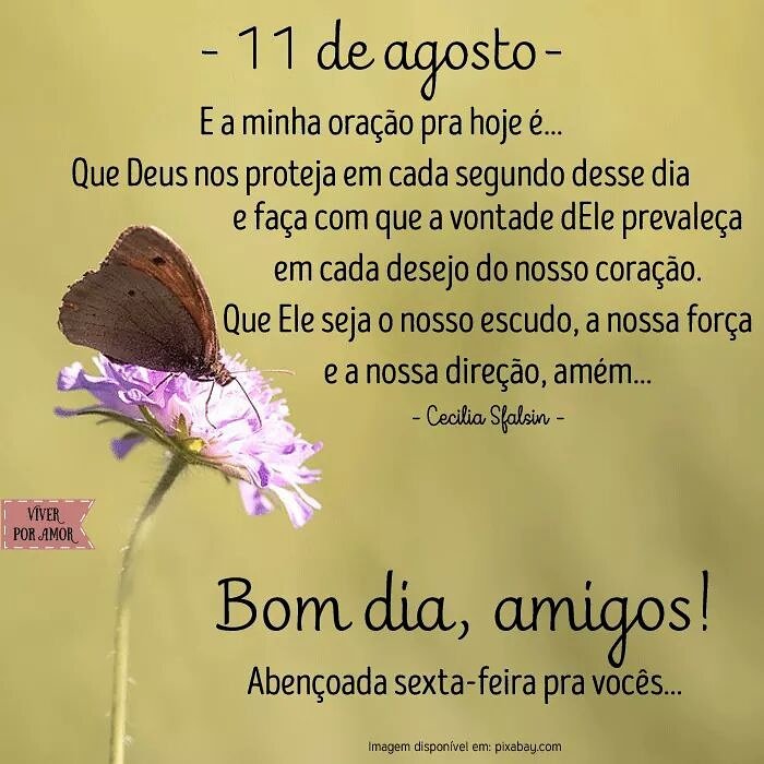 Aline #TimBeta (@alinessilva2010) on Twitter photo 