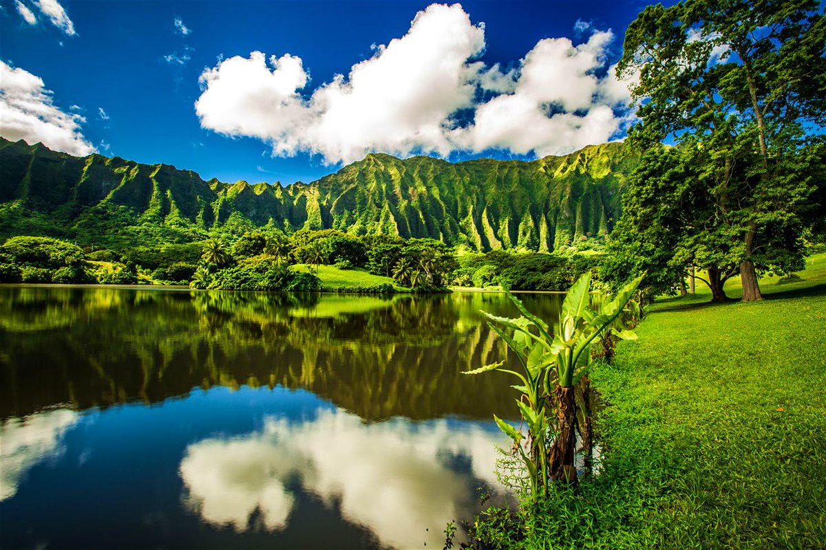 lonelyplanet's tweet image. 7 completely free things to do in O'ahu lptravel.to/qnGpWS #travel