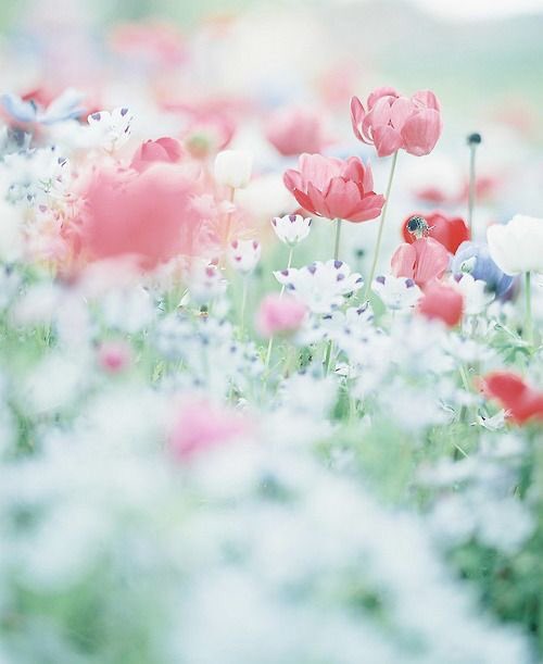 yui_3310's tweet photo. @naotenso @Tunnelbreeze @thomaspower @minami1105 @Nori98765 @theta_compass @Masao__Tanaka @shellieblum @isamuuran1316 @MarshaCollier @KoichiHagiwara @sprague_paul @shyoshid @love176456111 @CarlRamallo @SusanGilbert @sjfpc @Gvacci @gsf_info @kimura113218 @hideo0220 @thewordwarrior @DrKysela @AkemiKawaguchi8 @3d_works1 @oda_f @Gabriele_Corno @RobertaCostner @fmpreuss @SferrazzoG @FrancescoSotis @LOYALFAN1 @LadyTerezie @chaebae @alphabetsuccess @janlgordon @robindavidman @withwish_taka @GodsonRebecca @ai_momoco @VIP_FACE1 @Fujio_Oda @HarunARABACI @ShannonLeeBird @ExpectingGOLD @harunarabaci2 @under_foot #TY https://t.co/ayERsQ1Zjx