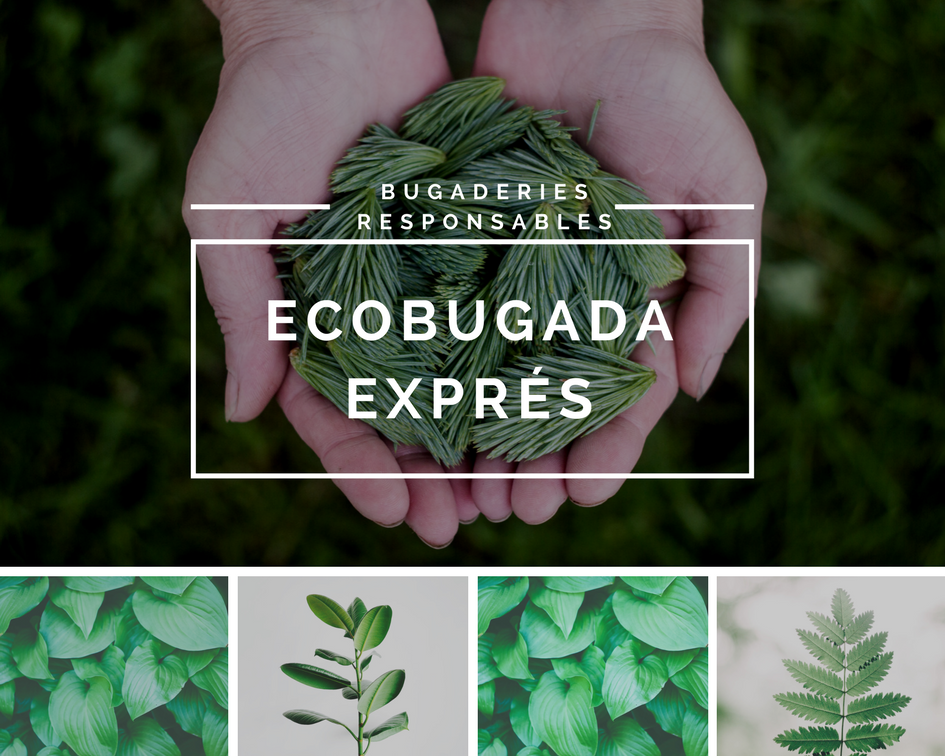 EcoBugadaExpres's tweet photo. Descobreix per què diguem que SOM #ECO 🌱👉 https://t.co/rV4i1vrygk #greenspirit #bugaderies #Electrolux #Catalunya #Andorra #SomEco https://t.co/duuYGrEeKN