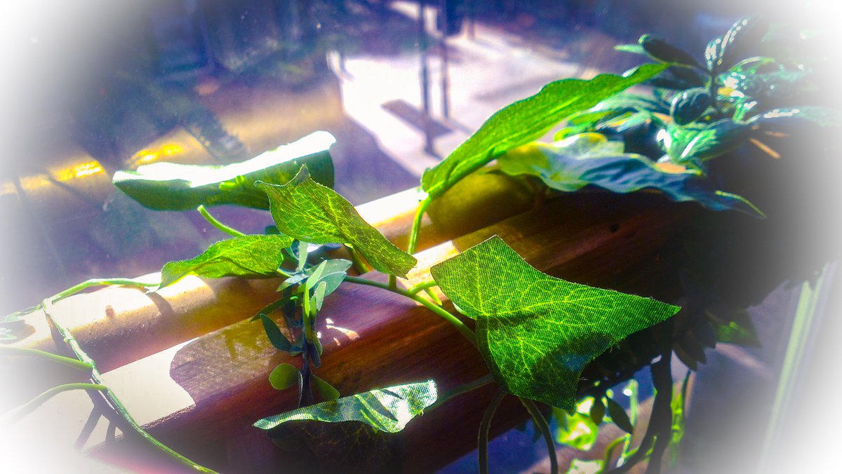 Hello... someone has let the outside in. What’s going on, <a href="/GrimmAndCo/">Grimm & Co</a> #Rotherham? Some spell gone awry? Answers! #Rotherhamiswonderful