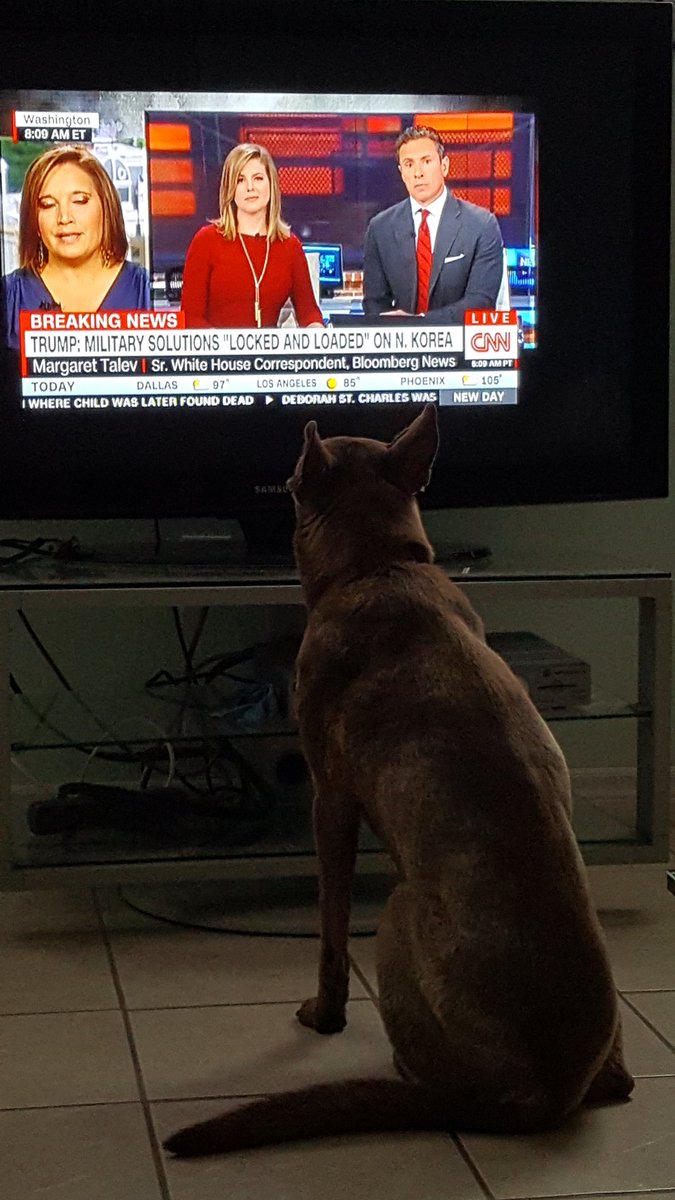 Rebafan's tweet photo. Keeping an eye on the news @cnnbrk @CNN and Trump!! https://t.co/GQLNgrgFLR