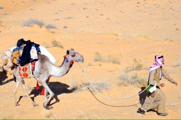 fahad33931's tweet photo. وإن شلتها ياحسين تر مابها شين 
حيث الخوي ياحسين مثل الامانه 
ما يستشك ياحسين غير الرديين 
والا ترى الطيب وسيع بطانه https://t.co/TKWvvgri7v