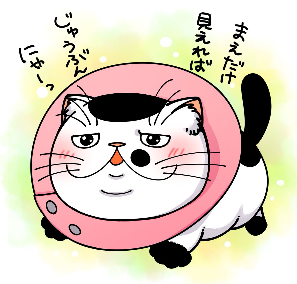 桜井海＠おじ猫15巻発売中！ on X: 