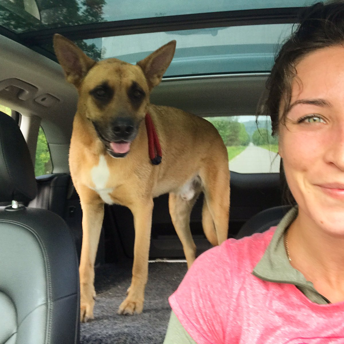 Larisa Yurkiw tweet media