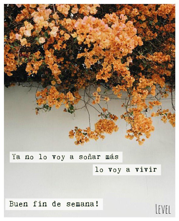 centrolevel's tweet image. centrolevel.com.ar  
consultas@centrolevel.com.ar
1140346375 #centrolevel #salud #Bienestar #Belleza #BsAs #BuenFinde #leveltips