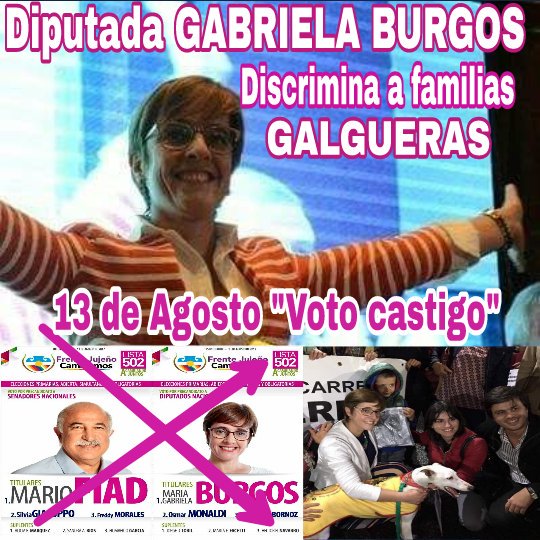 LaMorosoy's tweet photo. @mabyburgos @proyectogalgoar @MagdalenaOdarda  https://t.co/e8tZFgpvxm